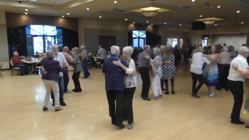 Lights Camera Polka - 606