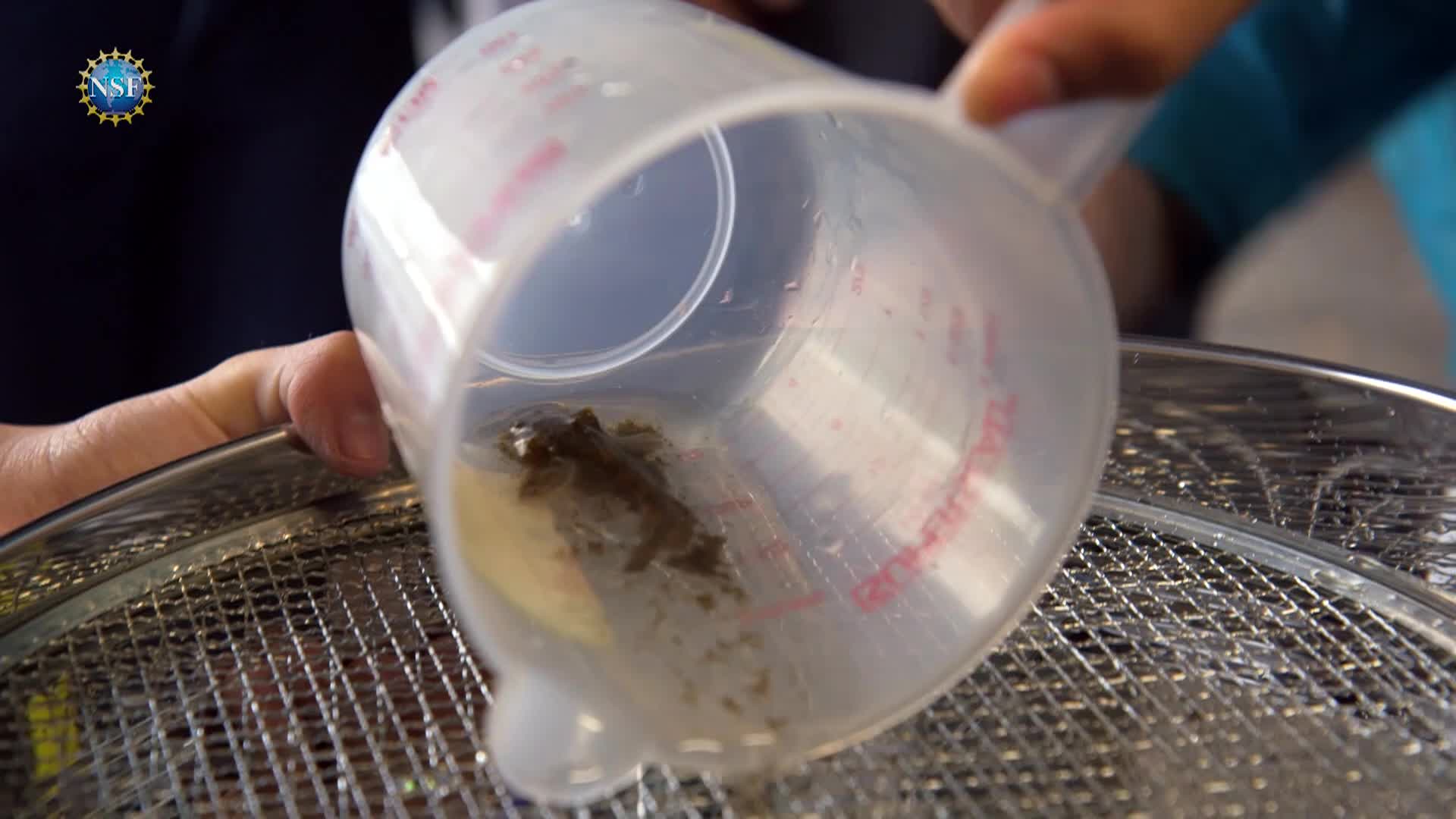 Science 360 - Episode 37