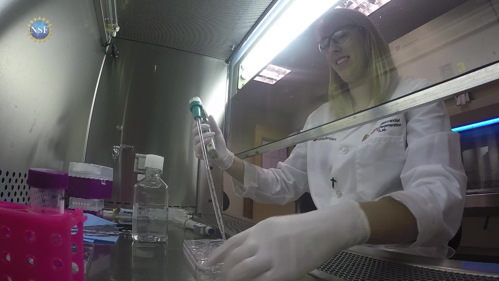 Science 360 - Episode 41